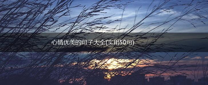 心情优美的句子大全(实用50句),第1张