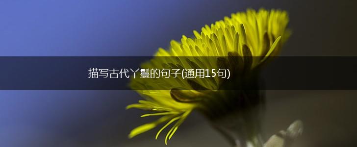 描写古代丫鬟的句子(通用15句),第1张