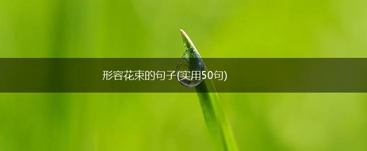形容花束的句子(实用50句),第1张