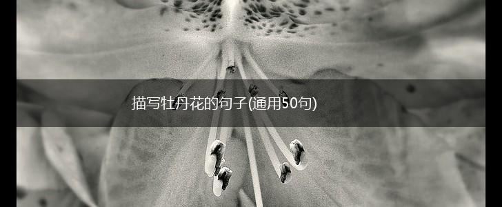 描写牡丹花的句子(通用50句),第1张