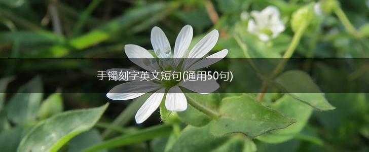 手镯刻字英文短句(通用50句),第1张