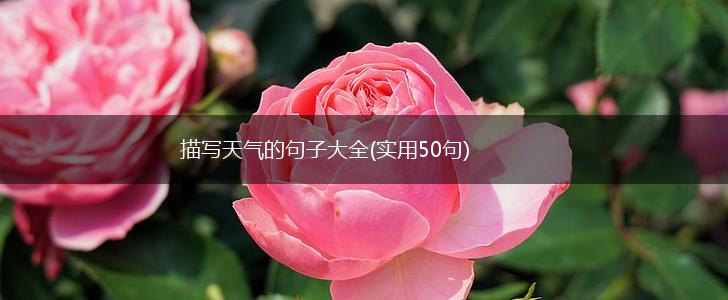 描写天气的句子大全(实用50句),第1张
