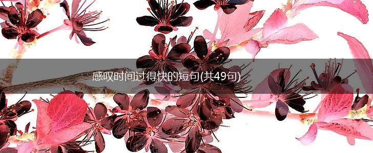 感叹时间过得快的短句(共49句),第1张