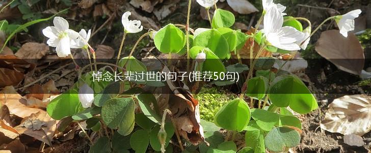 悼念长辈过世的句子(推荐50句),第1张