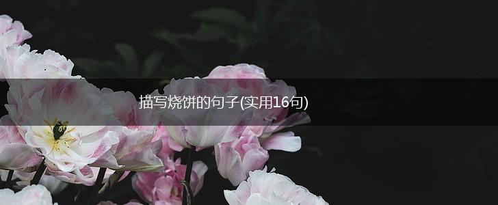 描写烧饼的句子(实用16句),第1张