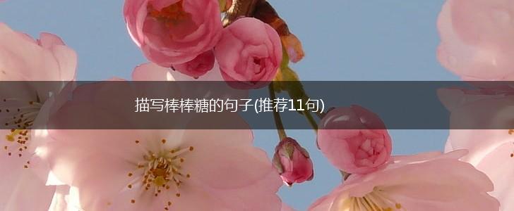 描写棒棒糖的句子(推荐11句),第1张