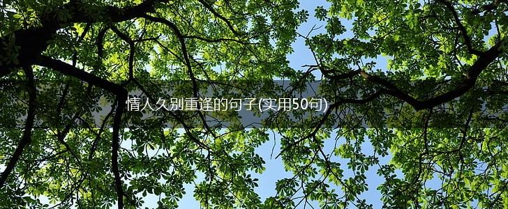 情人久别重逢的句子(实用50句),第1张