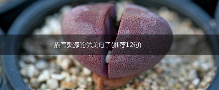 描写婺源的优美句子(推荐12句),第1张