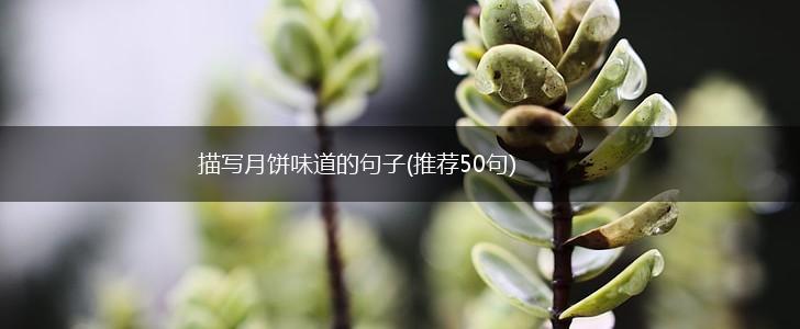 描写月饼味道的句子(推荐50句),第1张