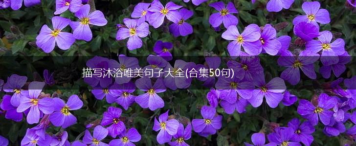 描写沐浴唯美句子大全(合集50句),第1张