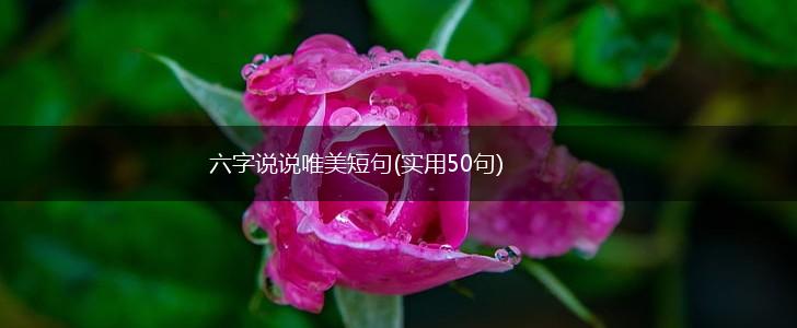 六字说说唯美短句(实用50句),第1张