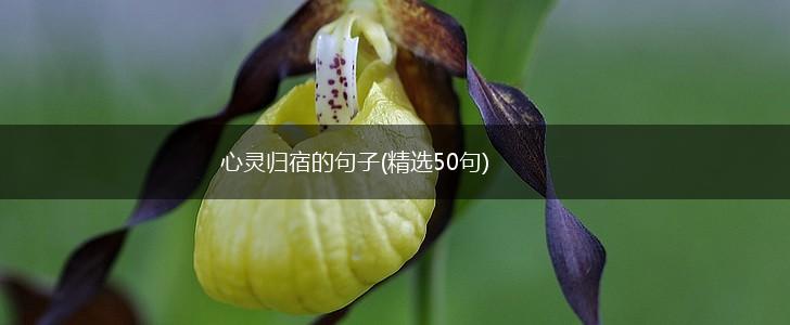 心灵归宿的句子(精选50句),第1张
