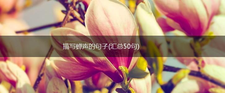 描写蝉声的句子(汇总50句),第1张
