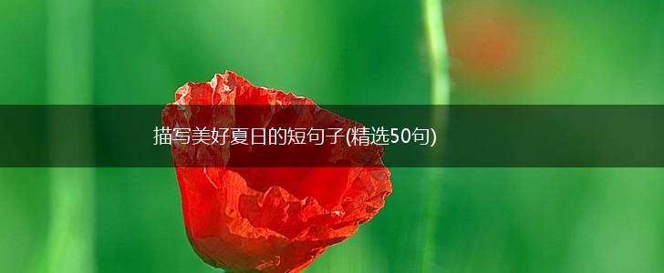 描写美好夏日的短句子(精选50句),第1张