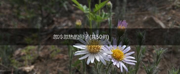 忽冷忽热的句子(共50句),第1张