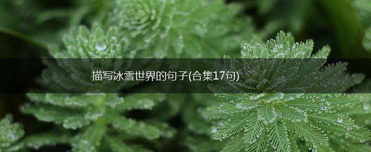 描写冰雪世界的句子(合集17句),第1张