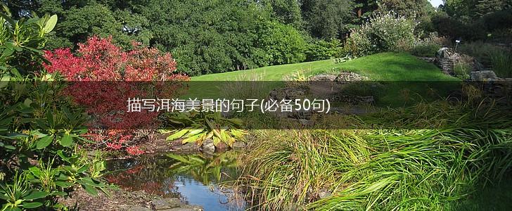描写洱海美景的句子(必备50句),第1张