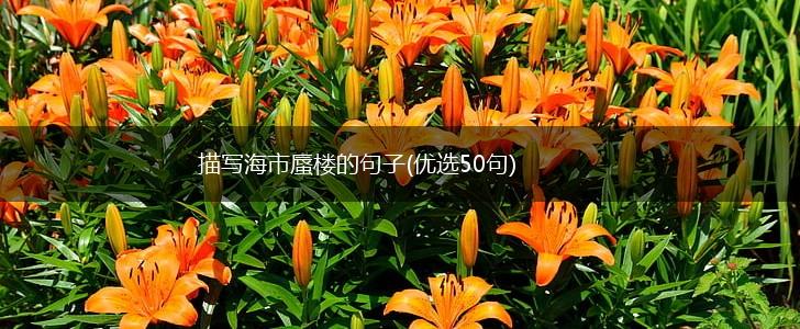 描写海市蜃楼的句子(优选50句),第1张