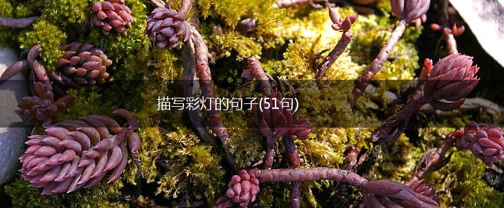 描写彩灯的句子(51句),第1张