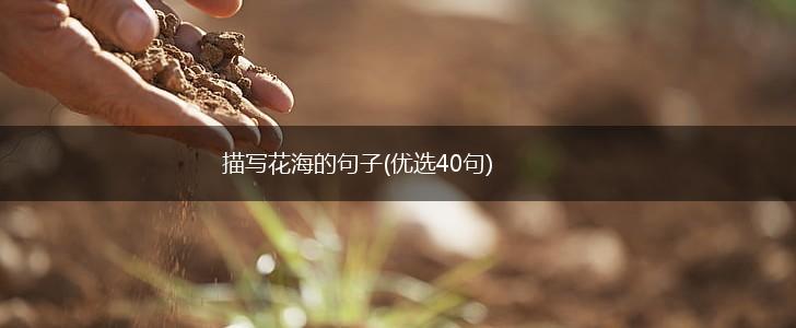 描写花海的句子(优选40句),第1张