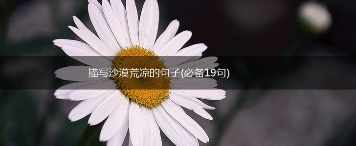 描写沙漠荒凉的句子(必备19句),第1张