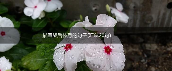 描写战后惨烈的句子(汇总20句),第1张