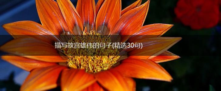 描写故宫雄伟的句子(精选30句),第1张