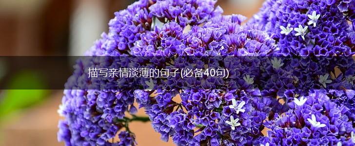 描写亲情淡薄的句子(必备40句),第1张 描写亲情淡薄的句子(必备40句),第1张