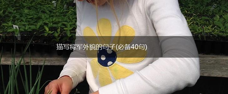 描写将军外貌的句子(必备40句),第1张