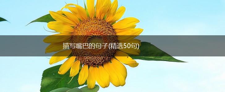 描写嘴巴的句子(精选50句),第1张