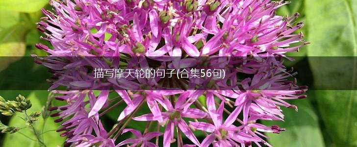 描写摩天轮的句子(合集56句),第1张