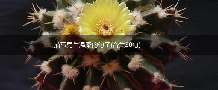 描写男生温柔的句子(合集30句),第1张