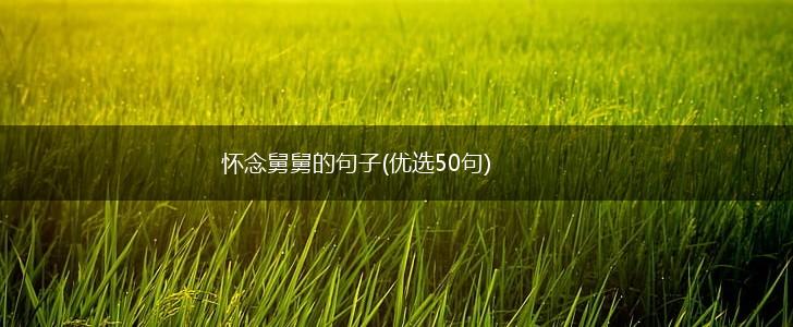 怀念舅舅的句子(优选50句),第1张