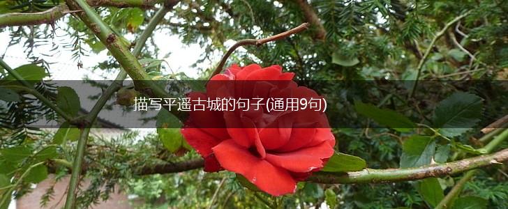 描写平遥古城的句子(通用9句),第1张