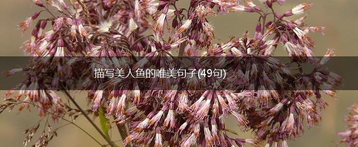 描写美人鱼的唯美句子(49句),第1张