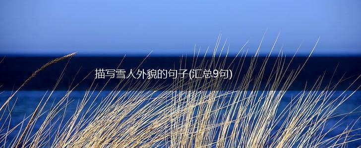 描写雪人外貌的句子(汇总9句),第1张