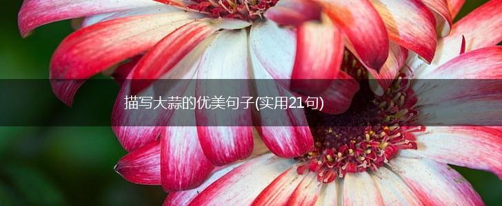 描写大蒜的优美句子(实用21句),第1张
