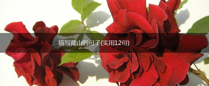 描写荒山的句子(实用12句),第1张