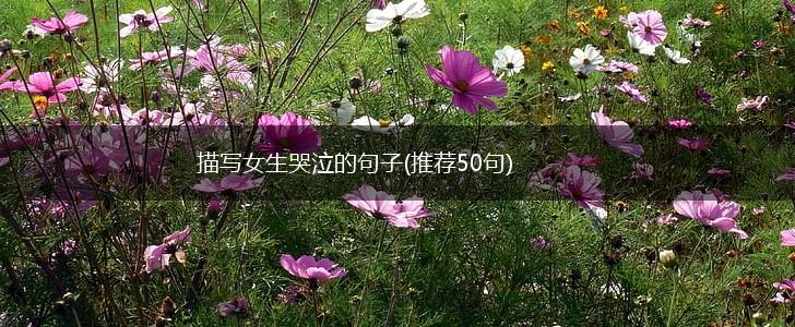 描写女生哭泣的句子(推荐50句),第1张