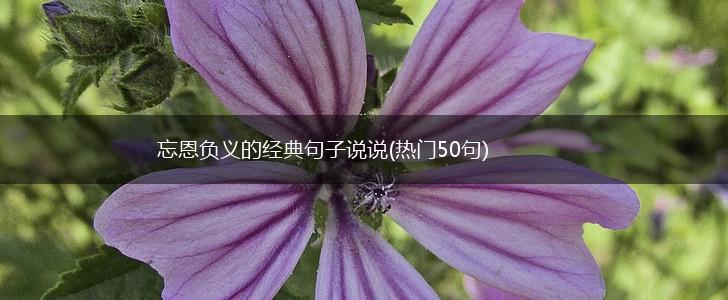 忘恩负义的经典句子说说(热门50句),第1张