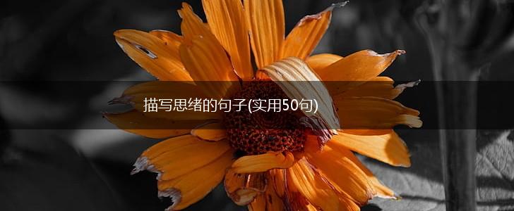 描写思绪的句子(实用50句),第1张 描写思绪的句子(实用50句),第1张