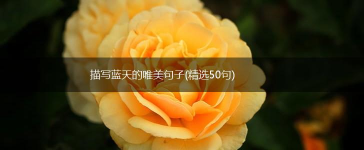 描写蓝天的唯美句子(精选50句),第1张