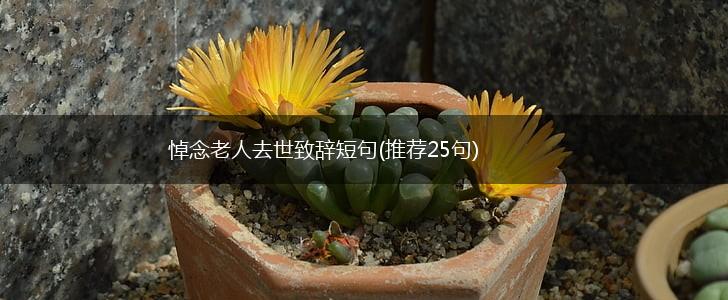 悼念老人去世致辞短句(推荐25句),第1张