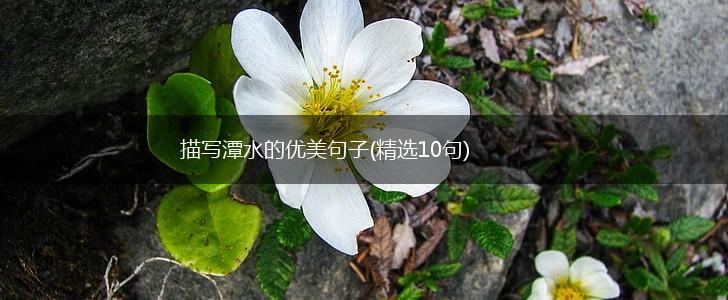 描写潭水的优美句子(精选10句),第1张