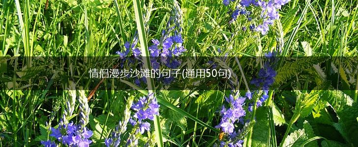 情侣漫步沙滩的句子(通用50句),第1张