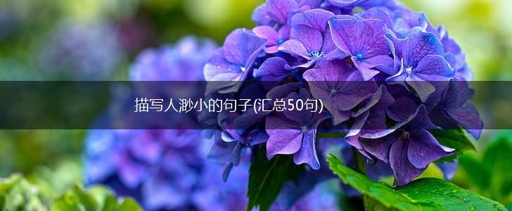 描写人渺小的句子(汇总50句),第1张