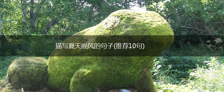 描写夏天晚风的句子(推荐10句),第1张