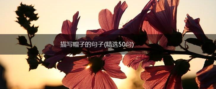 描写帽子的句子(精选50句),第1张