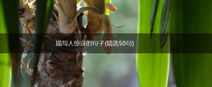 描写人惊讶的句子(精选50句),第1张