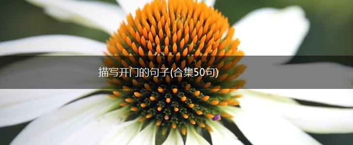 描写开门的句子(合集50句),第1张